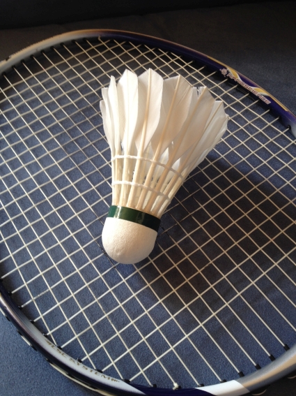 Krefelder Badminton Club 1955 e.V. Pressewart